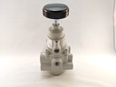 REGULATOR TYPE 50 1/4" PORTS 0-60PSI WITH KNOB