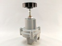 REGULATOR TYPE 41-1, 1/4" PORTS, 0-10PSI