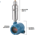 TESCOM REGULATOR, STEAM APPLICATION, 316SS BODY, 0-50PSI OUTLET PRESSURE, 0-6000PSI INLET PRESSURE, 1/4"NPTF