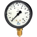 Wika 113.13 Series Brass Liquid Filled Pressure Gauge, 0 to 200 psi