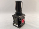 107 Series Filter/Regulator, 1/4" NPT, 3 to 44 psi