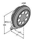 Turck  (ML-RF160-9X8-CWN-H1141)