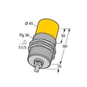 Turck Inductive Sensor (NI25-G47-Y1)