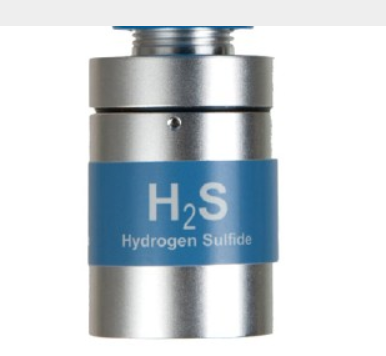 SMC Sentry Sensor Cell, IT, H2S, ppm