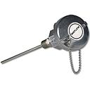 WATLOW RTD Sensor Style RR Style RTD with Double Fitting w/ Thermowell