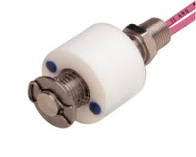LS-1700 LEVEL SWITCH,Teflon Float, 316 SS Stem, 1/8" NPT, 24" lead