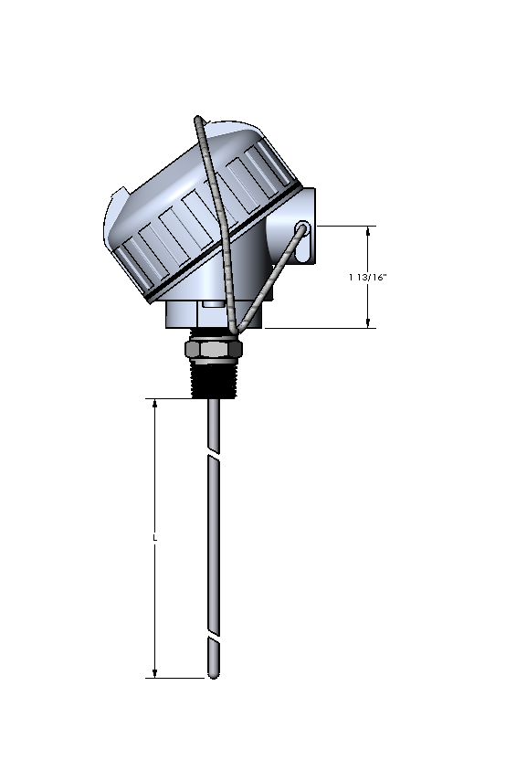 Watlow Dual 3-Wire 100 Ohms RTD