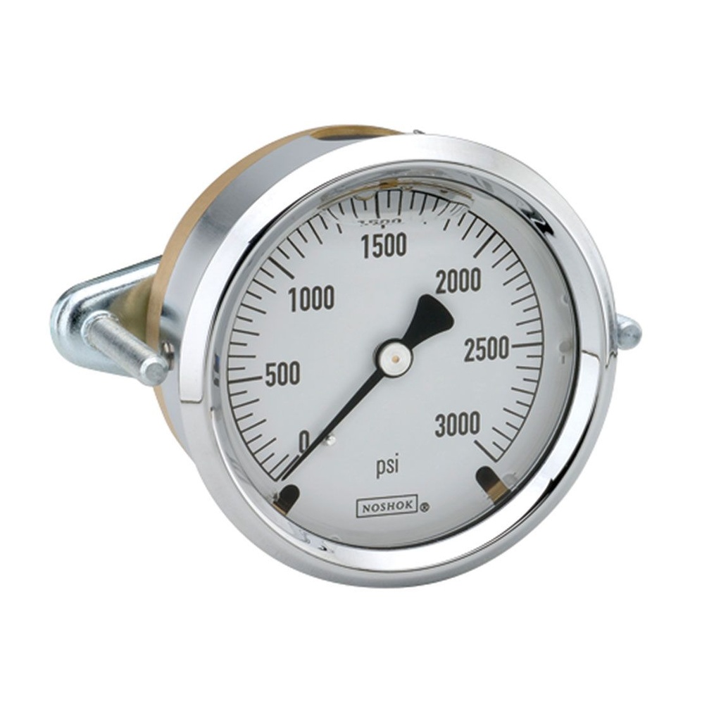 310 Series Brass Case Liquid Filled Pressure Gauge, 0 psi to 300 psi, Chrome Bezel & U-Clamp