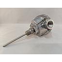 Watlow RT Style Rtd, .25" Diameter, 7" Insertion Length, Cast Aluminum Weatherhead