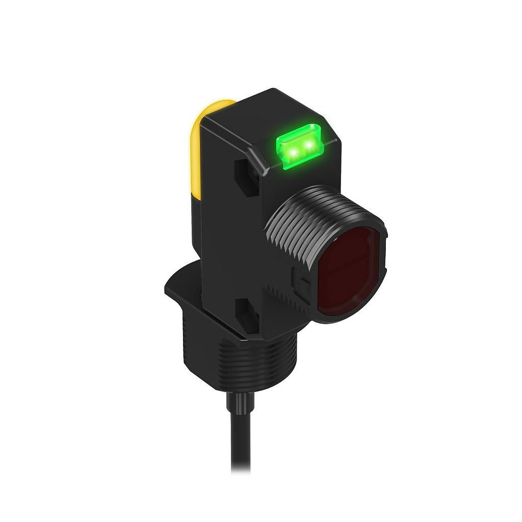 CABLE PNP 100MM FIXED FIELD (DS18VP6FF100)