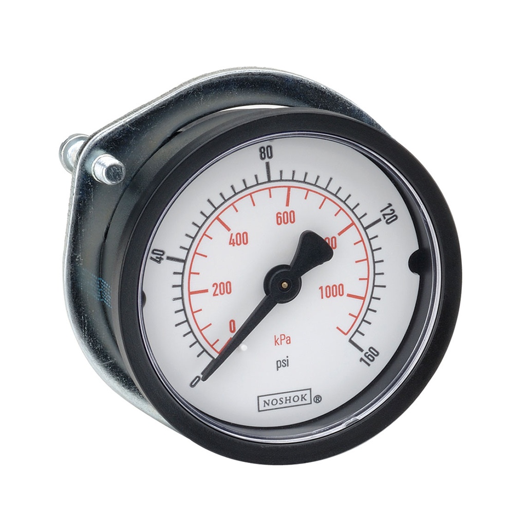 100 Series Pressure Gauge, 0 psi to 5,000 psi, Panel Mount Clamp