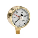 300 Series Brass Case Liquid Filled Pressure Gauge, 0 psi to 15 psi, Maximum Indicating Pointer