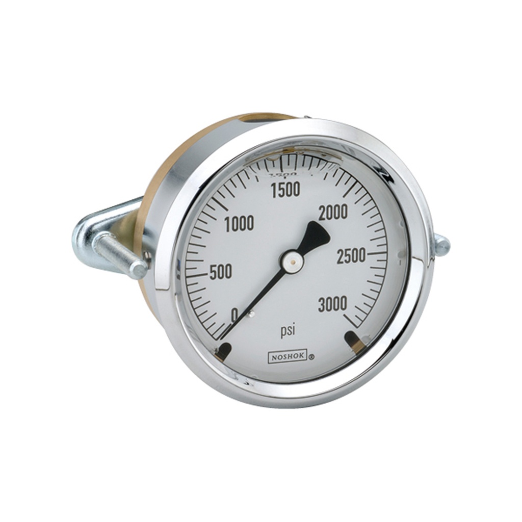 300 Series Brass Case Liquid Filled Pressure Gauge, 0 psi to 600 psi, Chrome Bezel & U-Clamp