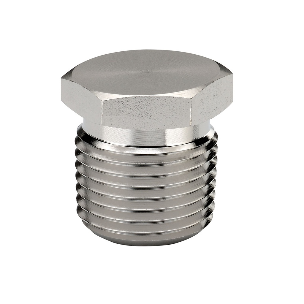 1/2" NPT SS Plug