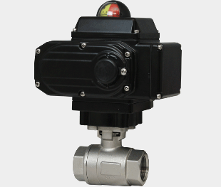 WE01 2-Piece SS Ball Valve, 1/2" NPT