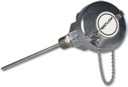 WATLOW RTD Sensor Style RR Style RTD with Double Fitting w/ Thermowell