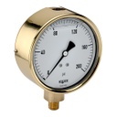 300 Series Brass Case Liquid Filled Pressure Gauge, 0 psi to 100 psi, 304SS Rear Flange