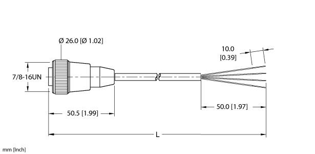 Turck Actuator and Sensor Cordset, Connection Cable (RKM 40-2M)