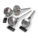 Dual Element RTD with Thermowell 304SS, S=15in, U=13in RAF285L483-SF415R11509S-SC-8HN31,I 