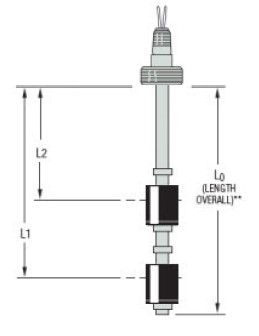 GEMS LSP-800-C-PVC-SPST-020-GR2-5