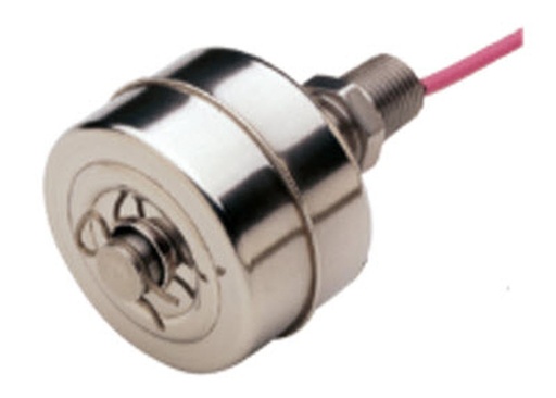 [79990] LS-1750 Float Switch, 316SS Float and Stem, 1/8" NPT Mounting Connection, 24" Leads