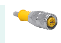 [U2152-31] Turck Actuator and Sensor Cordset, Connection Cordset (RK 4T-8/S618)