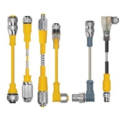 [U-23286] Turck Actuator and Sensor Cordset, Extension Cordset (RKSV 6T-2-RSSV 6T)