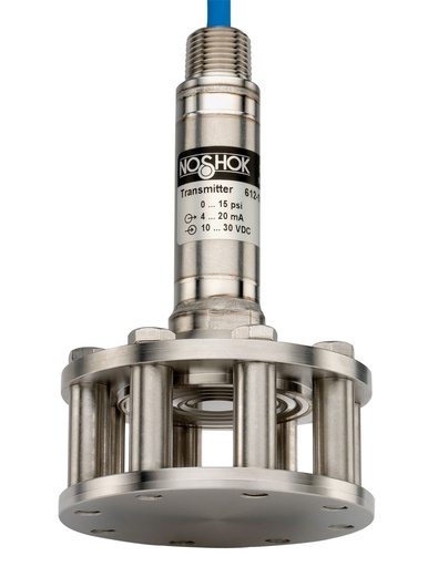 [613-100-1-1-50] Cage Protected Submersible Transmitter, Wetted Materials: 316 SS, 0 psig to 100 psig, 0.25% Accuracy (BFSL), 4 mA to 20 mA Output, 50 ft PUR Cable, ,