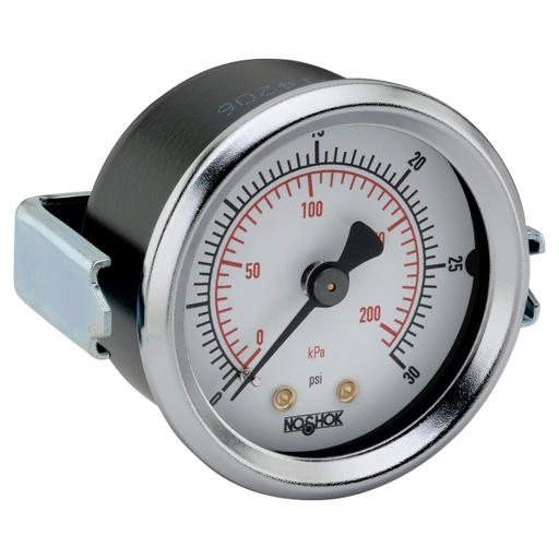 [20-120-100-psi/kPa] 100 Series Pressure Gauge, 2" Steel Panel Mount Case, 100 psi/kPa, 1/4" NPT Brass Center Back Connection