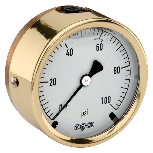 [25-310-5000-psi/kPa-SST] 300 Series Brass Case Liquid Filled Pressure Gauge, 0 psi to 5,000 psi
