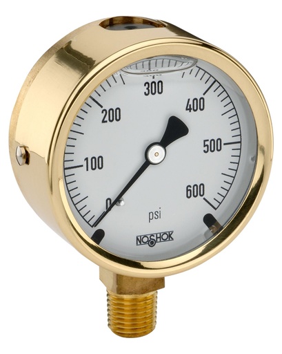 [25-300-600-psi-BT8] 300 Series Brass Case Liquid Filled Pressure Gauge, 0 psi to 600 psi, Brass Threaded Orifice 0.8 mm