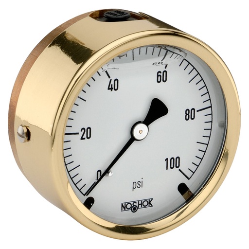 [25-310-200-psi-BT8] 310 Series Brass Case Liquid Filled Pressure Gauge, 0 psi to 200 psi, Brass Threaded Orifice 0.8 mm